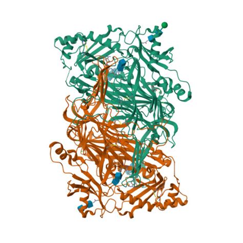 3HIG: Crystal structure of human diamine oxidase in complex .